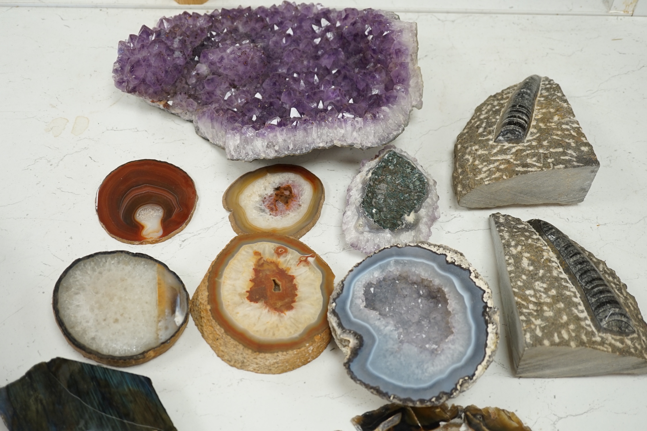 A group of mineral and fossil specimens, largest amethyst 26.5cm wide. Condition - good
